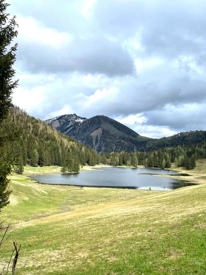 Tauglerei Appartement Malve In Den Zauberbergen Санкт-Коломан Экстерьер фото